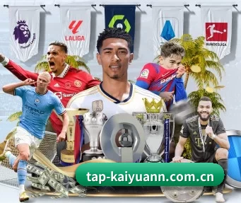 tap-kaiyuann.com.cn APP